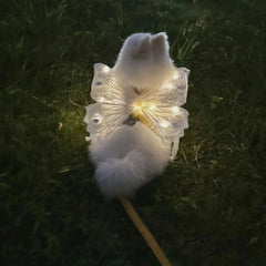 wings glowing butterfly back decoration For Dog & Cats - PeticaDeals