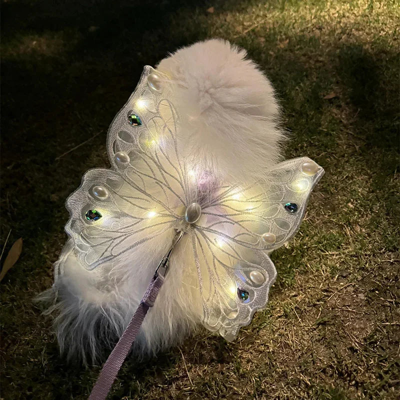 wings glowing butterfly back decoration For Dog & Cats - PeticaDeals