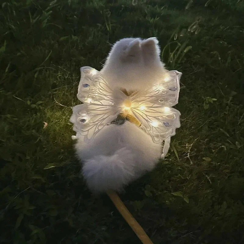 wings glowing butterfly back decoration For Dog & Cats - PeticaDeals