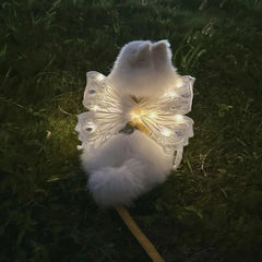 wings glowing butterfly back decoration For Dog & Cats - PeticaDeals