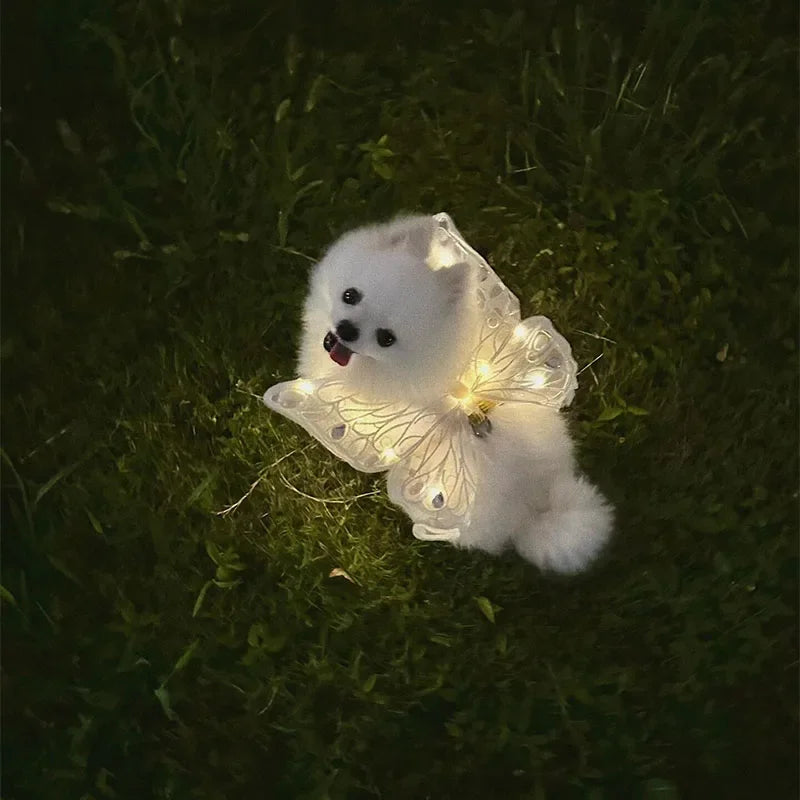 wings glowing butterfly back decoration For Dog & Cats - PeticaDeals