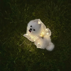 wings glowing butterfly back decoration For Dog & Cats - PeticaDeals
