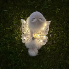 wings glowing butterfly back decoration For Dog & Cats - PeticaDeals