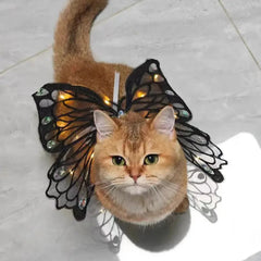 wings glowing butterfly back decoration For Dog & Cats - PeticaDeals