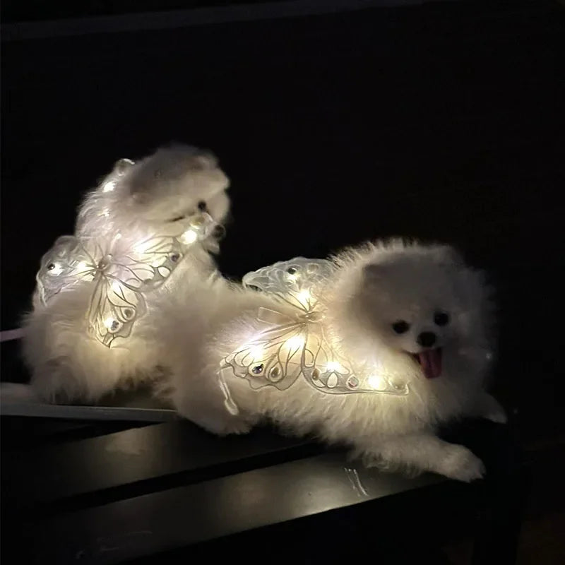 wings glowing butterfly back decoration for dogs & Cats - PeticaDeals