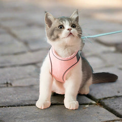 Cat Harness Leash Set Walking Tools - PeticaDeals