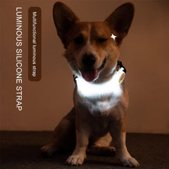 Luminous Led Dog Collar Anti-Lost/Avoid Car Accident Collar - PeticaDeals