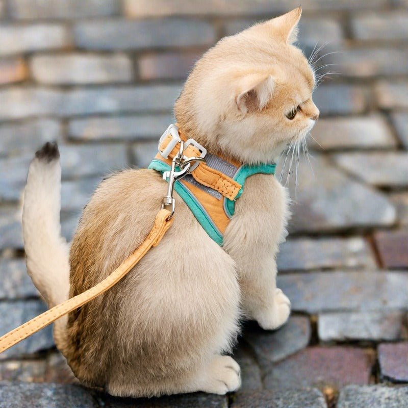 Cat Harness Leash Set Walking Tools - PeticaDeals